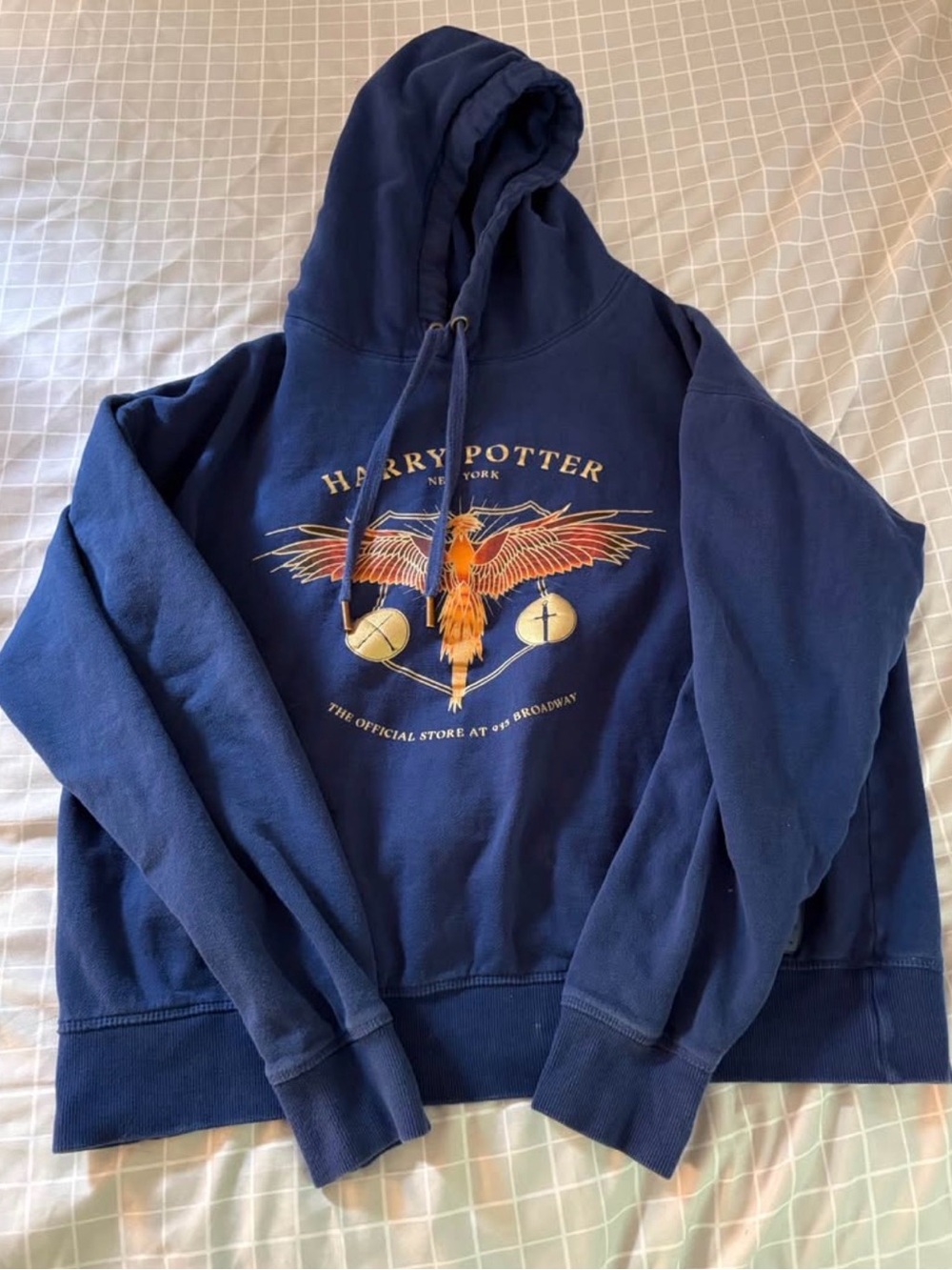 Harry Potter Navy Phoenix Graphic Hoodie